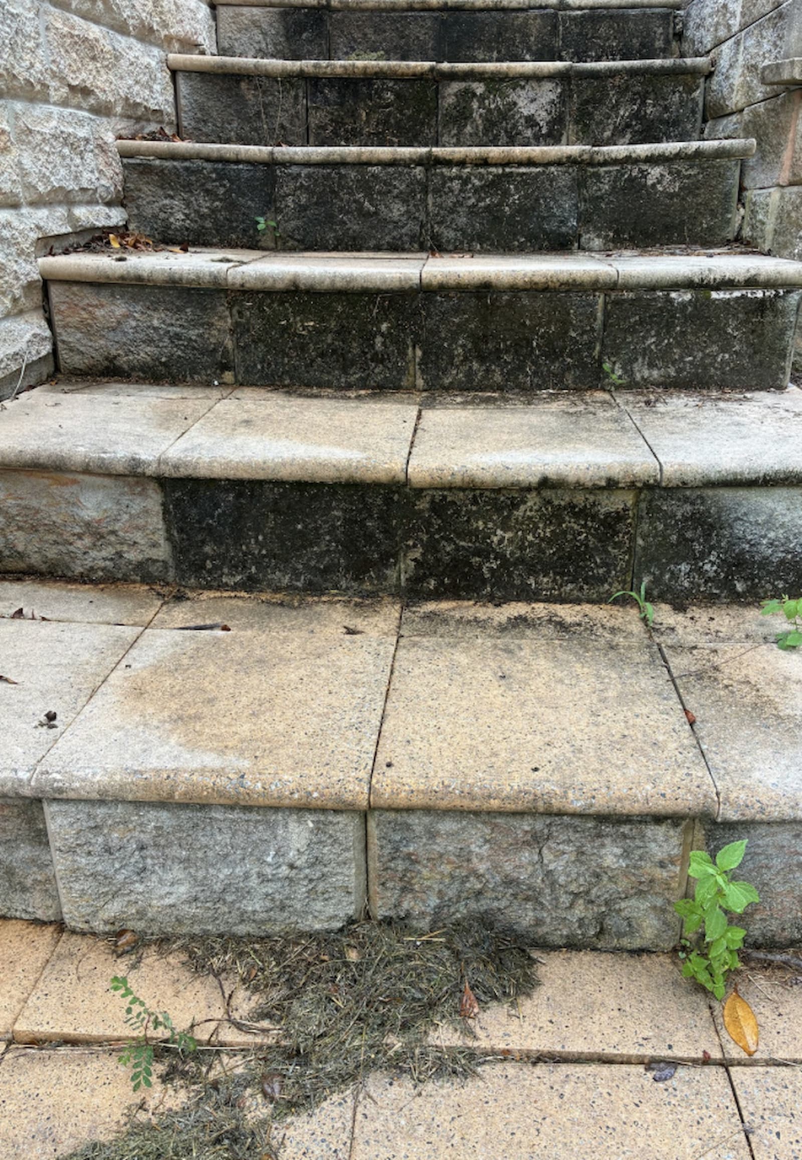 Before garden - placeholder